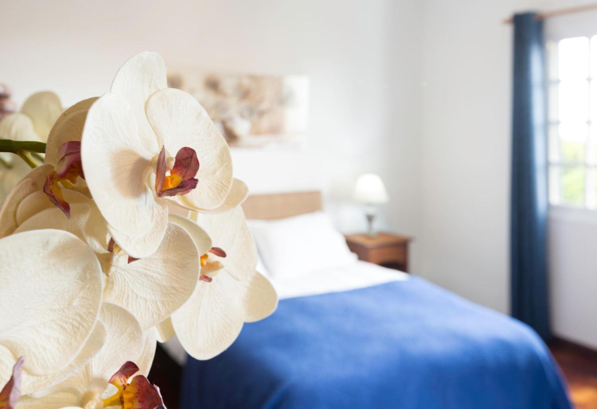 Charming Apartments In Funchal - Sao Goncalo Стая снимка